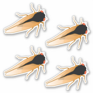 Periodische 17 Jahre Cicadas Magicicada Aufkleber
