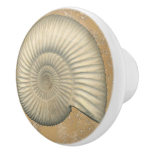 Perisphinctes Ammonit Keramikknauf
