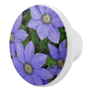 PERIWINKLE BLUE CLEMATIS KERAMIKKNAUF
