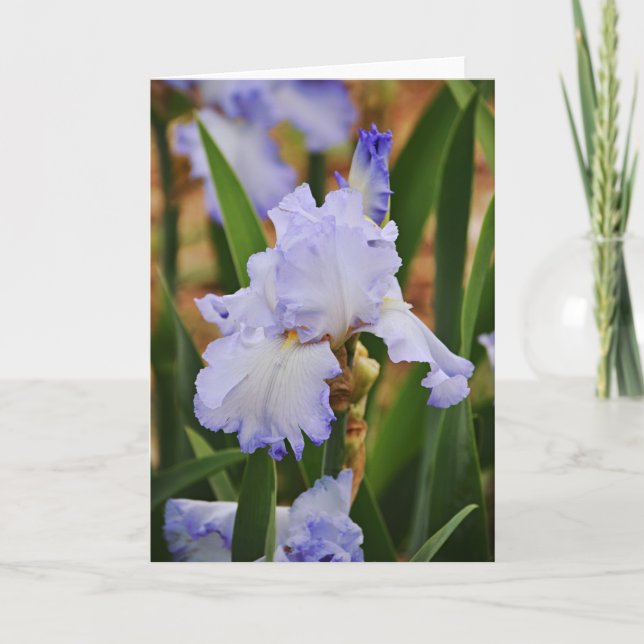 Periwinkle Blue Iris Blume Karte (Vorderseite)