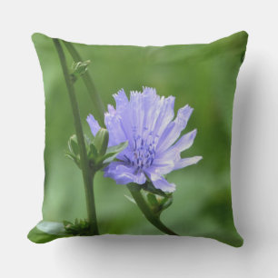 Periwinkle Blume und grünes Kissen im Freien