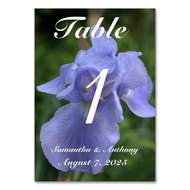 Périwinkle Floral Mariage Table No Cartes (Dos)