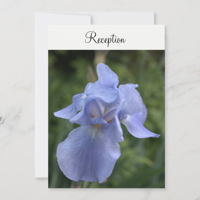 Periwinkle Iris Floral Wedding Reception Einladung (Vorderseite)