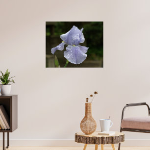 Periwinkle Iris mit Raindrops Poster