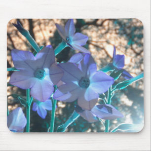 Periwinkle N Aquamarin Nicotiana mousepad