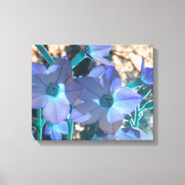 Periwinkle N Aquamarin Nicotiana Wrapped Canvas Leinwanddruck