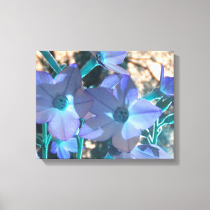 Periwinkle N Aquamarin Nicotiana Wrapped Canvas Leinwanddruck