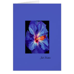 Periwinkle~One des couleurs les plus usées