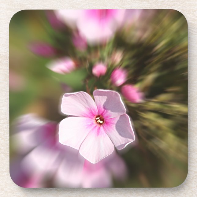 Periwinkle Untersetzer (Vorderseite)