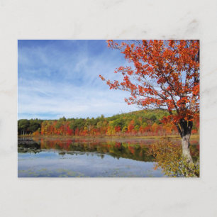 Perkins Pond Autumn Scene Postkarte
