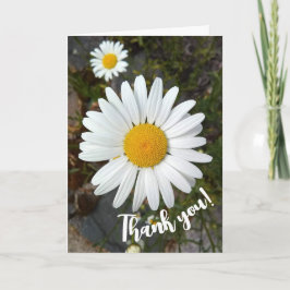 Perky White Daisy Blume Danke Karte