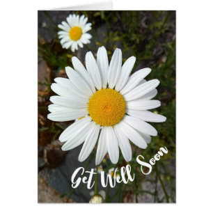 Perky White Daisy Flower Get Well Bientôt Card