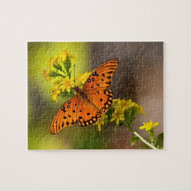 Perlboot-Schmetterlings-Puzzle (Horizontal)