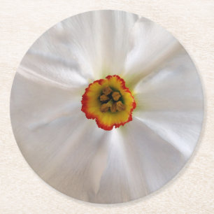 Perlenweißer Narziss Runder Pappuntersetzer