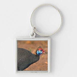 Perlhuhn (Numida meleagris). Afrika, Schlüsselanhänger