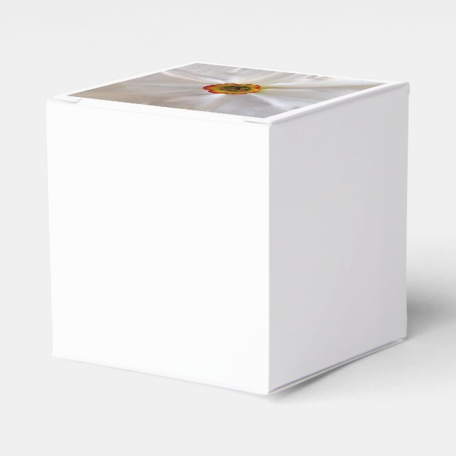 Perlweiße Narzisse Geschenkschachtel (Vorderseite)