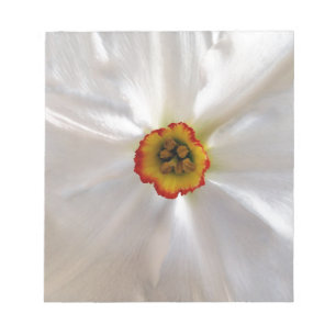 Perlweiße Narzisse Notizblock