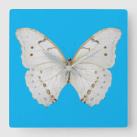 Perlweißer Schmetterling