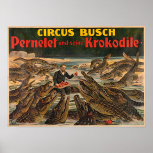 Pernelet und sein Krokodil Busch Circus Poster