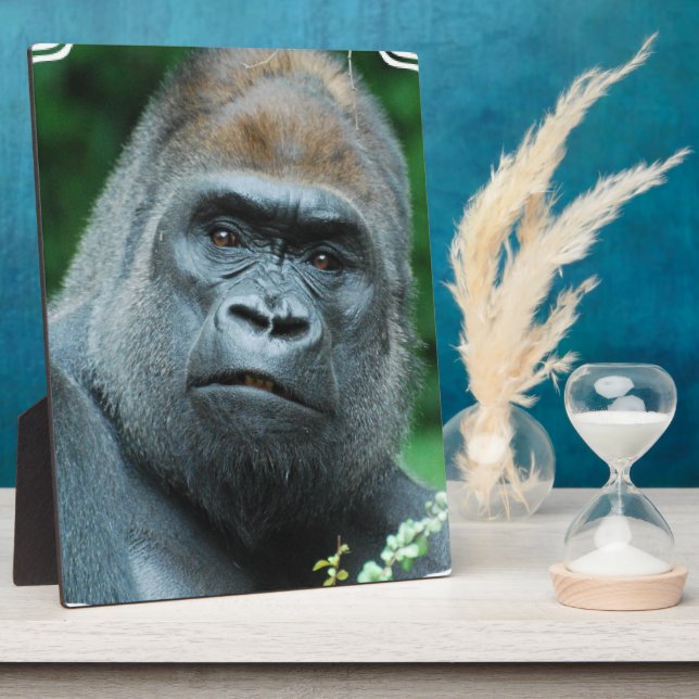 Perplexie Gorilla Fotoplatte (Seite)