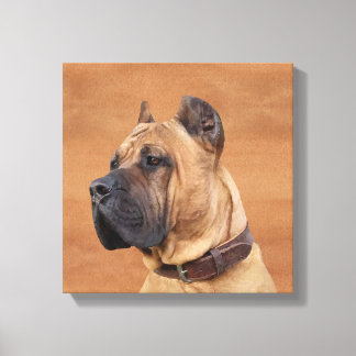 Perro de Presa Canario - Dogo Canario Leinwanddruck