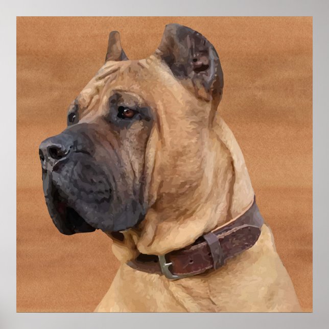 Perro de Presa Canario - Dogo Canario Poster (Vorne)