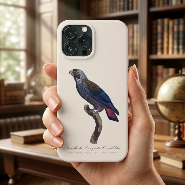 Perroquet a Camail bleu / Dusky Papagei Case-Mate iPhone Hülle (Dusky Parrot or Dusky Pionus, Pionus fuscus. iPhone Case)