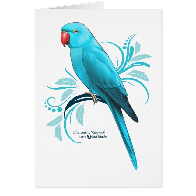 Perroquet bleu de Ringneck d'Indien (Devant)