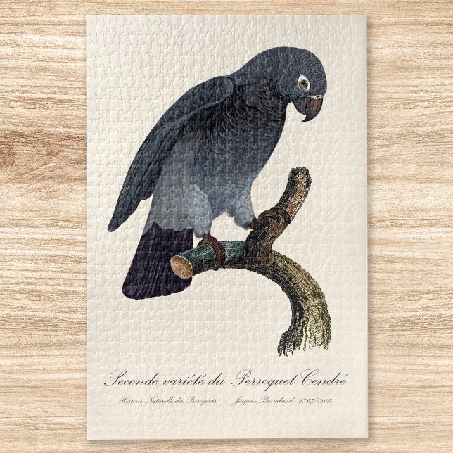 Perroquet Cendre/Timneh-Papagei (Timneh African Grey Parrot, Psittacus Timneh. Jigsaw Puzzle)