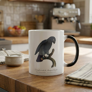 Perroquet Cendre/Timneh-Papagei Verwandlungstasse