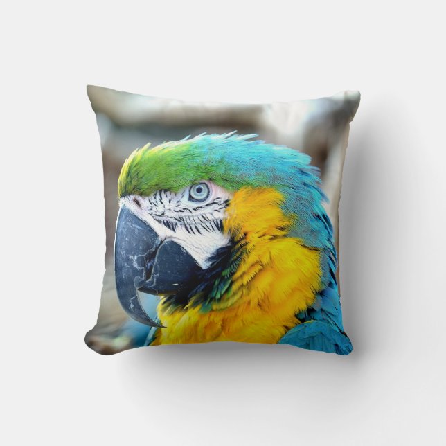 Perroquet coloré - coussin (Recto)