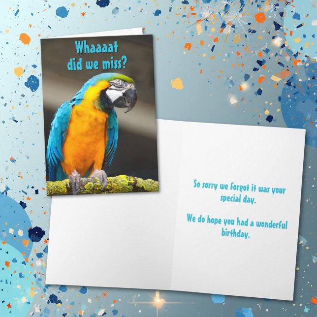Perroquet coloré Modèle d'anniversaire tardif (Parrot photo card cover with template text on cover and inside.)