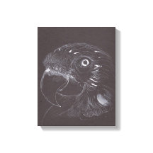 Perroquet - Dessin d'origine - Impression de toile