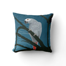Perroquet gris sur un coussin
