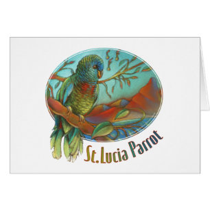 Perroquet tropical du St Lucia