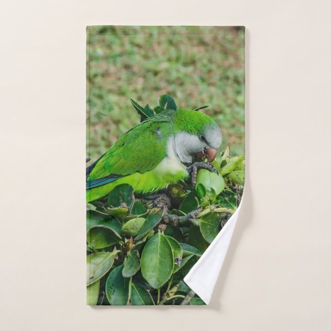 Perroquet vert (Serviette à main)