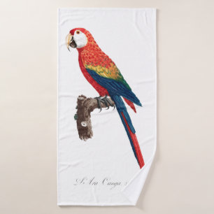 Perroquet vintage - Oiseaux Vieux art illustratif
