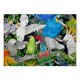 Perroquets d'animal familier de la carte du monde