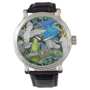 Perroquets d'animal familier de la montre du monde