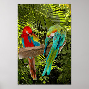 Perroquets d'ara dans une affiche tropicale de