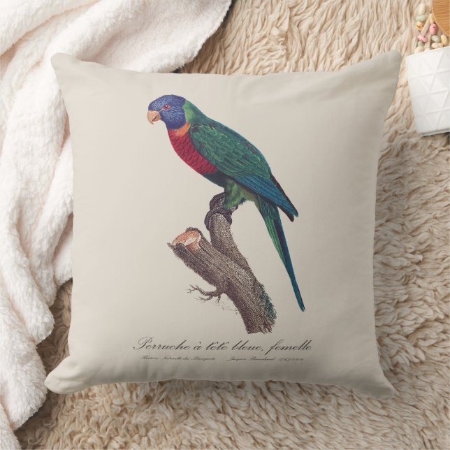 Perruche a tete bleue, femelle / Rainbow lorikeet, Kissen (Decke)