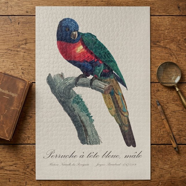 Perruche a tete bleue / Rainbow lorikee (Rainbow Lorikeet Male, Trichoglossus Moluccanus. Jigsaw Puzzle)