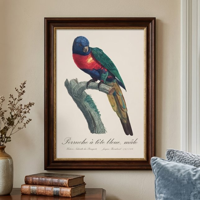 Perruche a tete bleue / Rainbow lorikee Fotodruck (Rainbow Lorikeet Male, Trichoglossus Moluccanus. Photo Print)