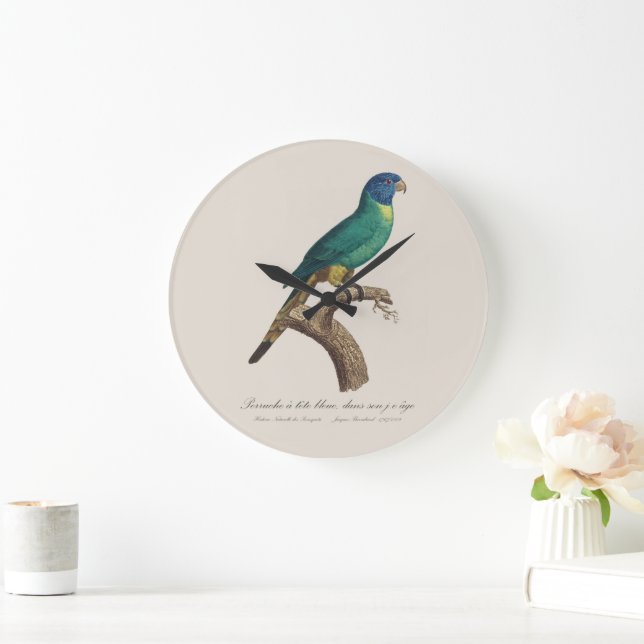 Perruche a tete bleue / Rainbow lorikeet, juvenil Große Wanduhr (Zuhause)