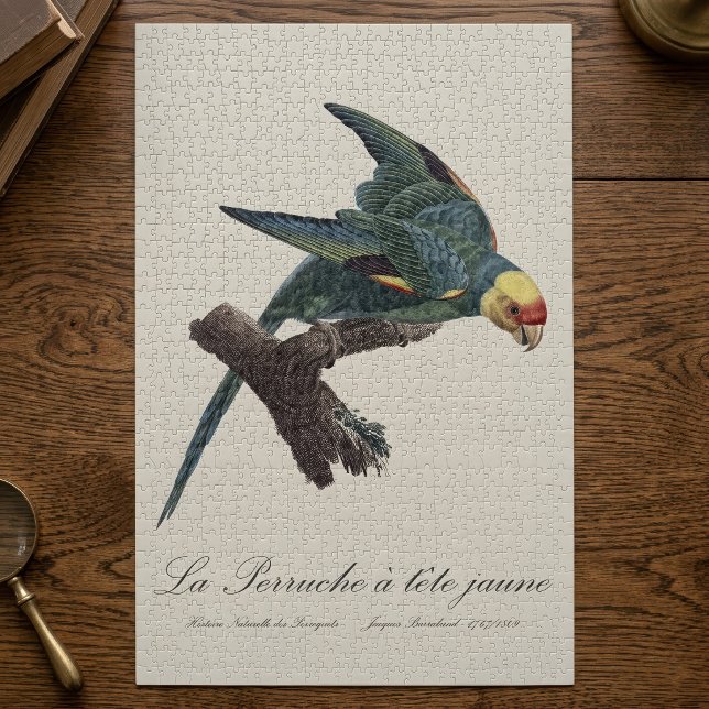 Perruche a Tete Jaune / Carolina parakeet (Carolina parakeet, Conuropsis carolinensis. Jigsaw Puzzle)