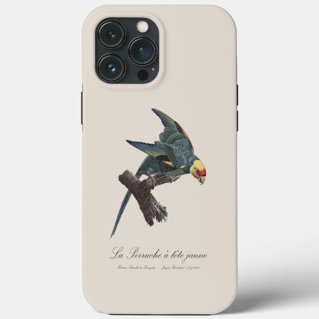 Perruche a Tete Jaune / Carolina parakeet Case-Mate iPhone Hülle (Rückseite)