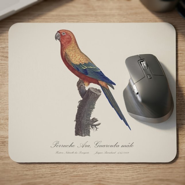 Perruche Ara, Guarouba / Sonnenparaket Mousepad (Sun Parakeet Male, Aratinga Solstitialis. Mouse Pad)