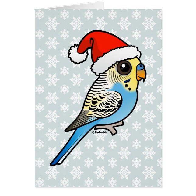 Perruche bleue et jaune de Père Noël (Devant)