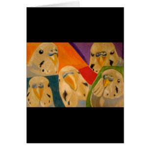 Perruche de perruche