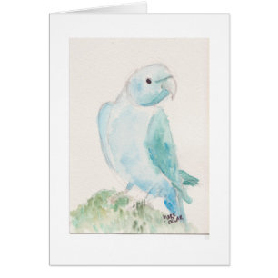 Perruche indienne de ringneck